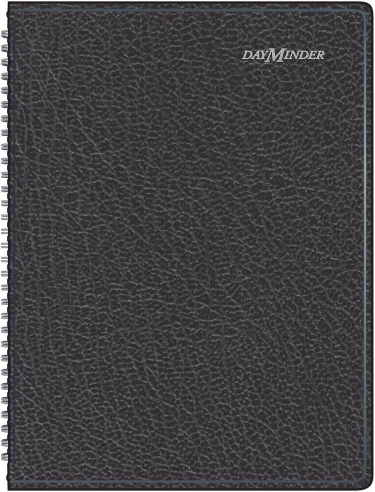 DayMinder Columned Weekly Appt. Book, 2010 (G52000)
