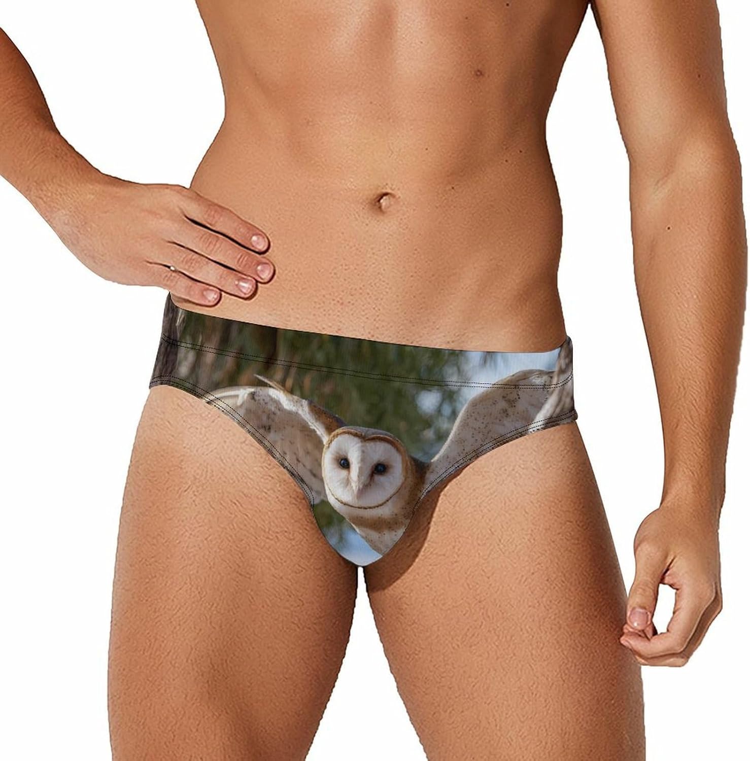 Barn Owl Bird Wildlife Animal Men's Swimsuit Brief Sexy Bikini Briefs Retro Printed Swimwear Quick Dry Swimming Trunks Large