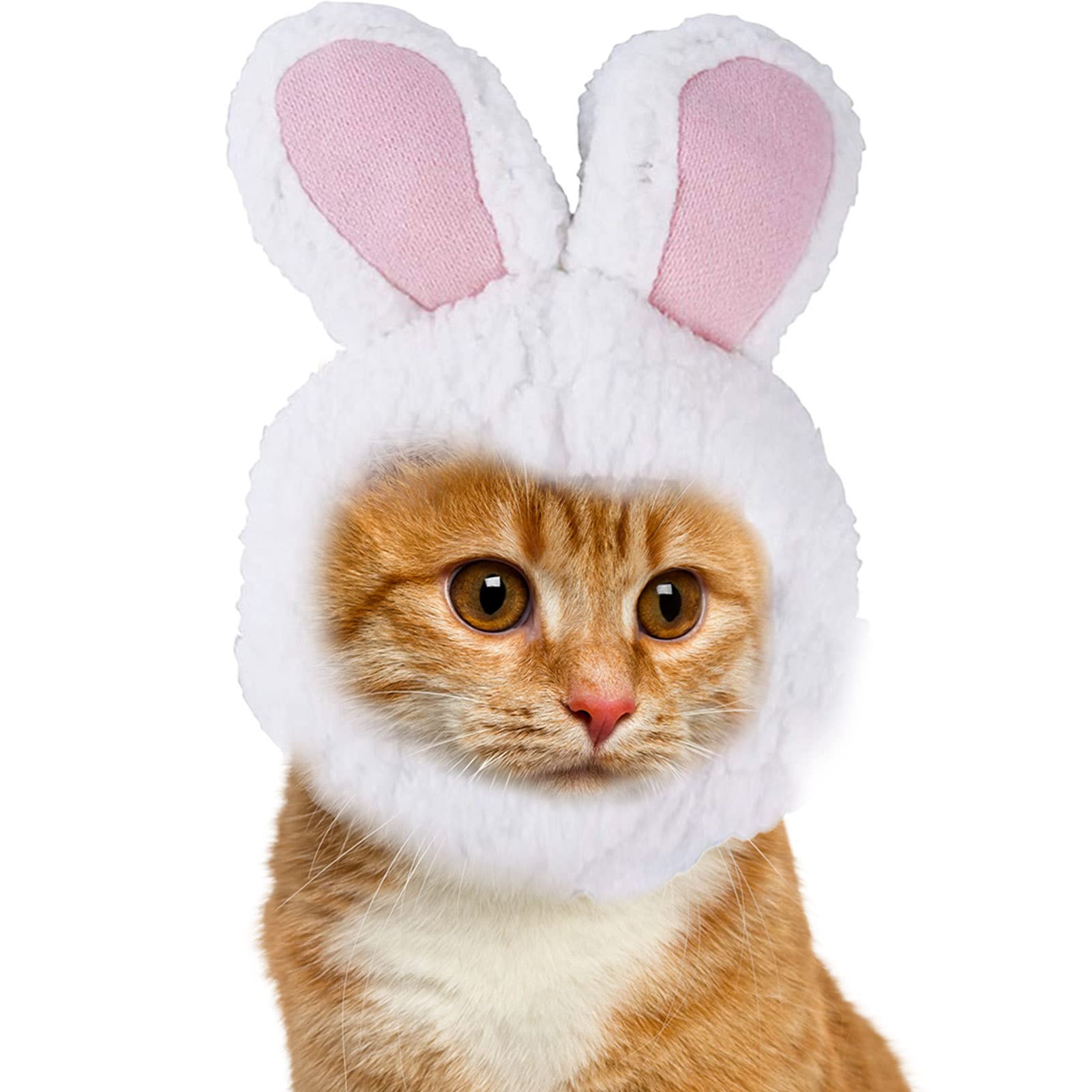Masque Cosplay FLUORO Chat Capuche Couvre-Chef Lapin Halloween - Doux Et Confortable