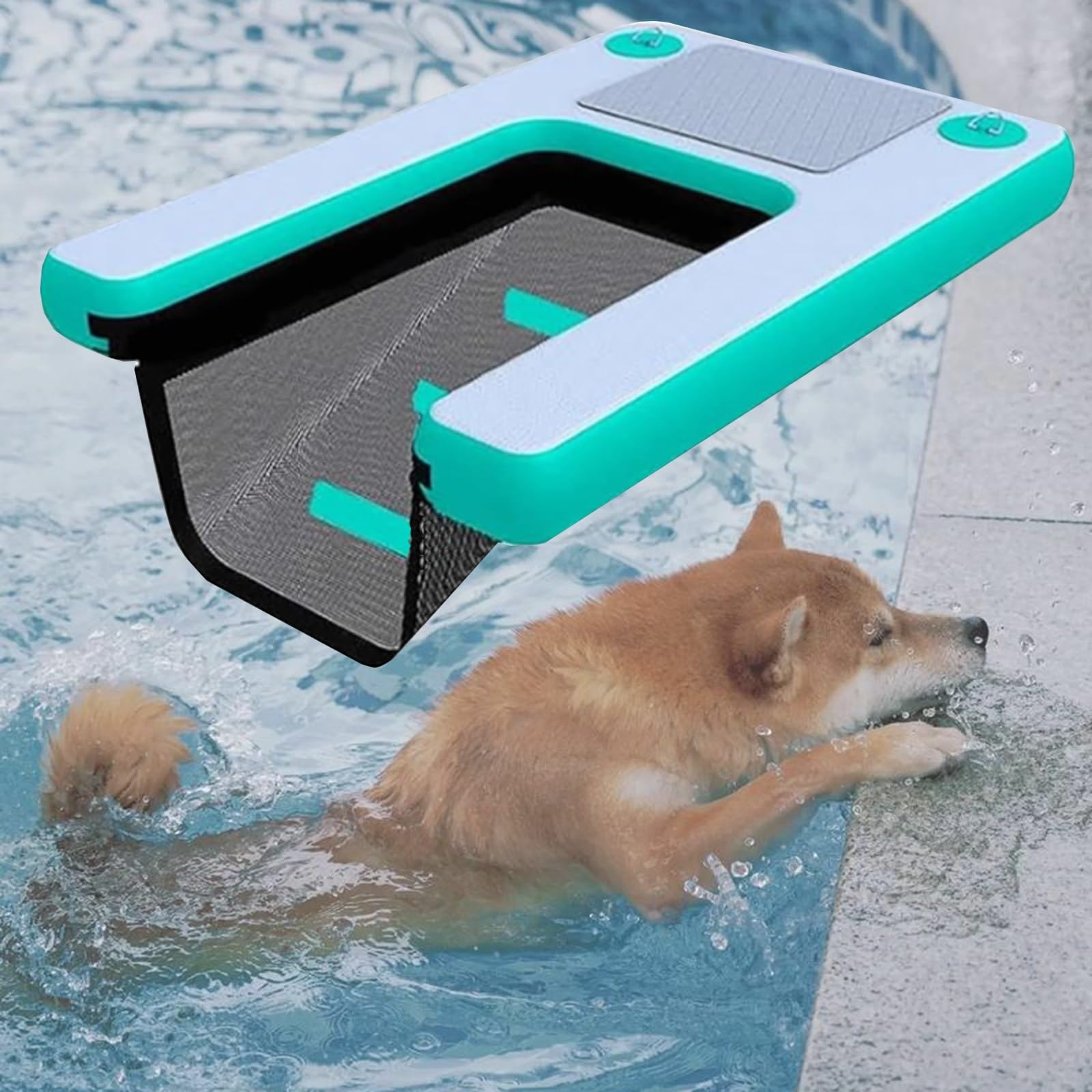 Rampe flottante pliable pour chien avec tapis antidérapant Color 3