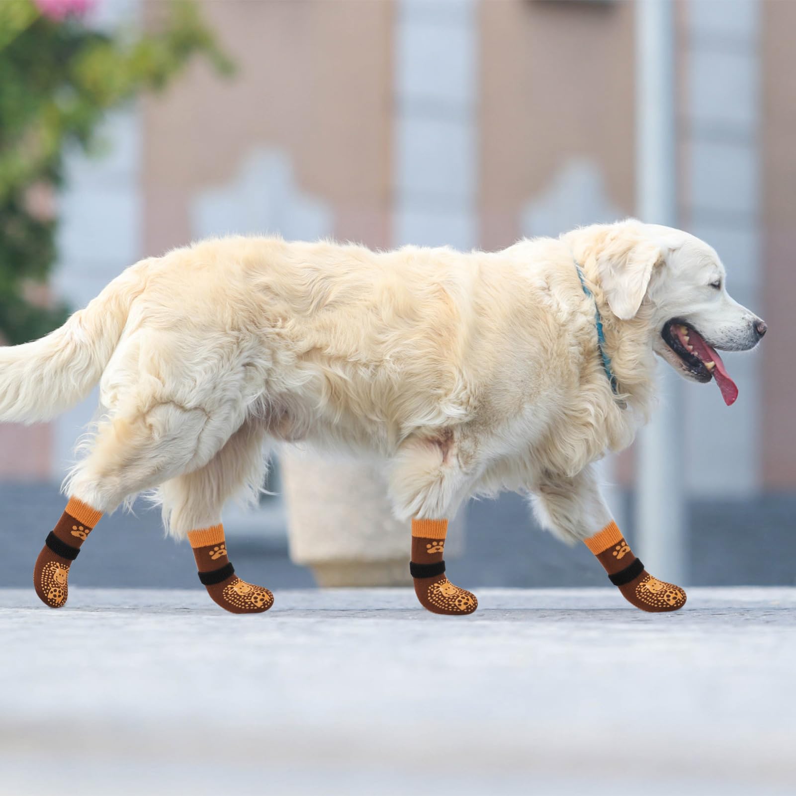 SCENEREAL Calzini per cani per evitare di leccare le zampe per marciapiedi caldo/freddo, calzini antiscivolo per cani di taglia piccola, media e grande, protezioni per zampe di cane per pavimenti in