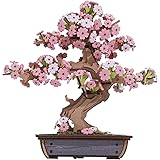 Rolife 3D Wooden Puzzle Flower for Adults, DIY Sakura Bonsai Tree Plants for Home Table Decor, Creative Cherry Blossom Crafts Birthday Model Building Kits Toys