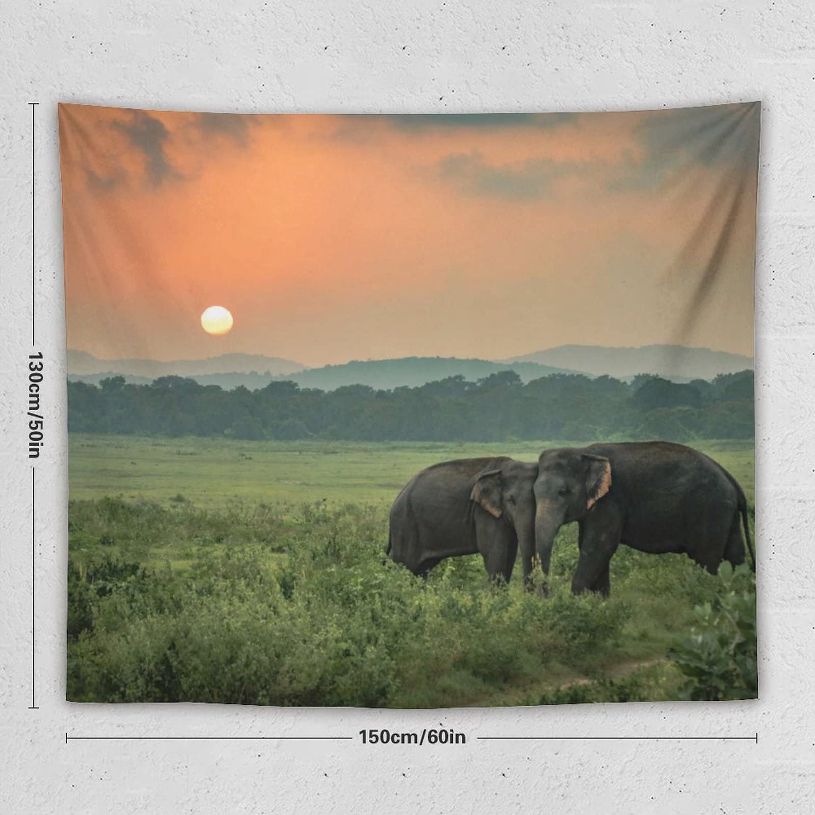 Amazon.co.jp: 2頭のスリランカの野生の象 タペストリー