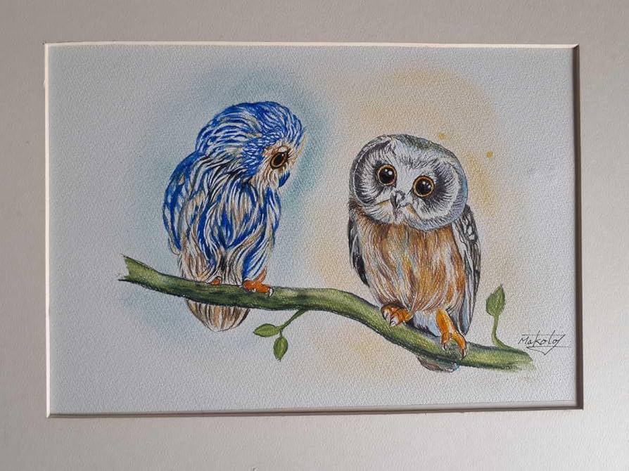 フクロウ色鉛筆画 Amazon.co.jp: 色鉛筆画 ふくろう : 文房具・オフィス用品