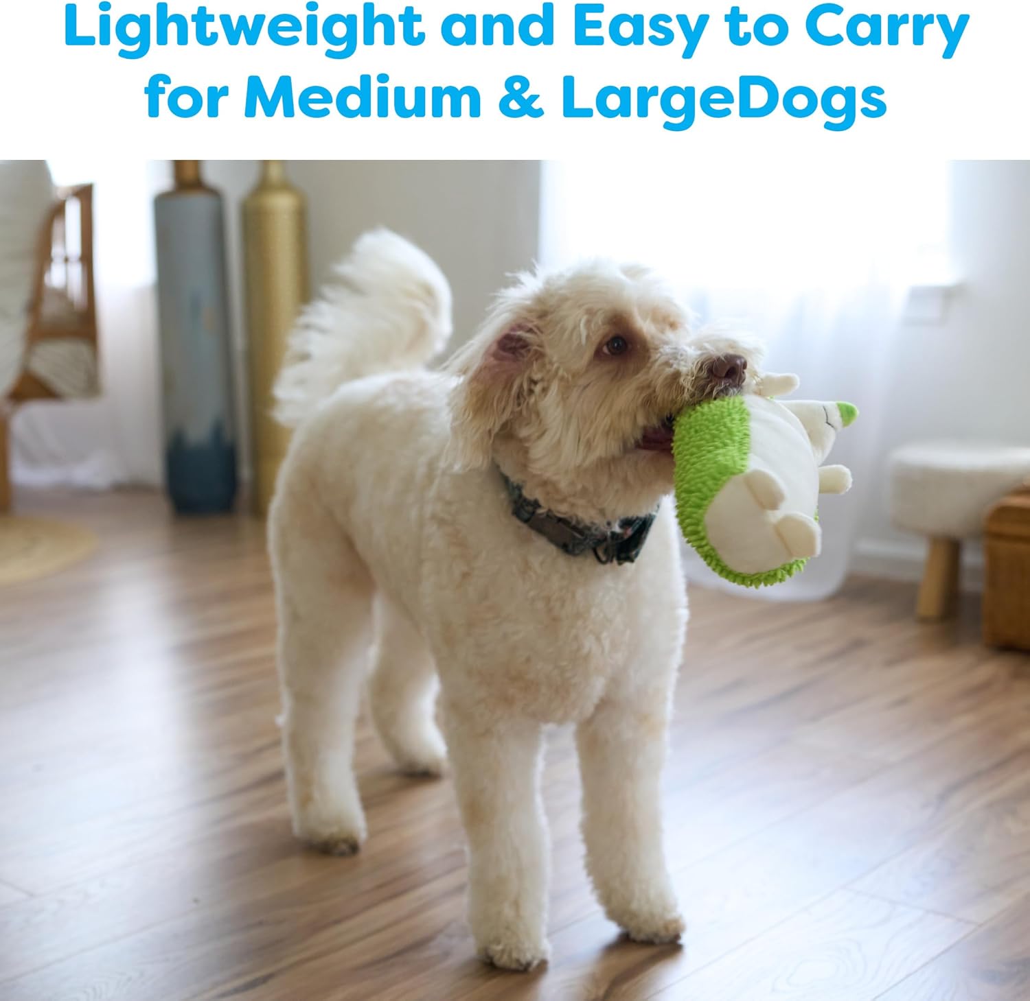 EthicalペットGigglers Hedgehog犬おもちゃ、12インチ(アソートカラー)