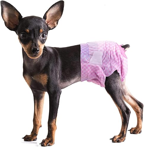 Pet Soft Pañales para perros femeninos  Pañales desechables para perros, pañales para gatos hembras, pañales para cachorros con orificio de cola de disponible en Yaxa Peru