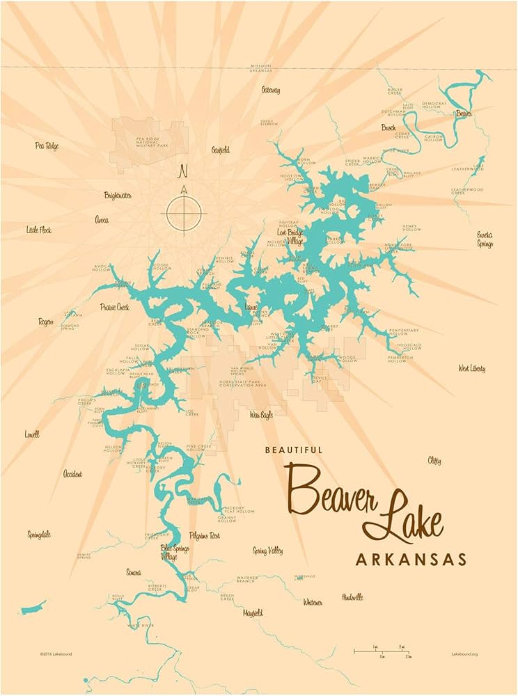Beaver Lake Original Vintage Style Map with Lake Facts www.glwec.in