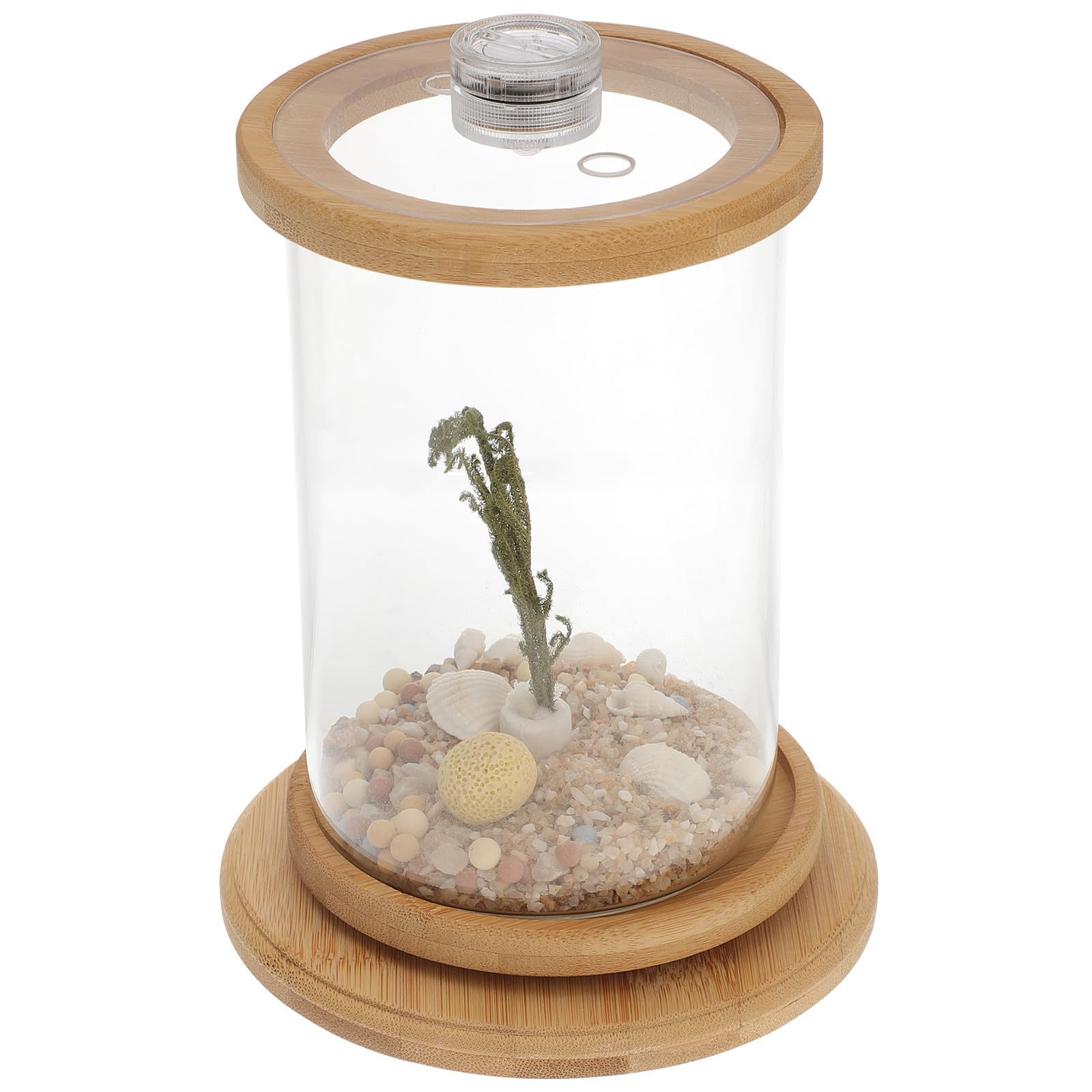 Dekoratives Aquarium für Schreibtisch als Büroaccessoire, Grün
