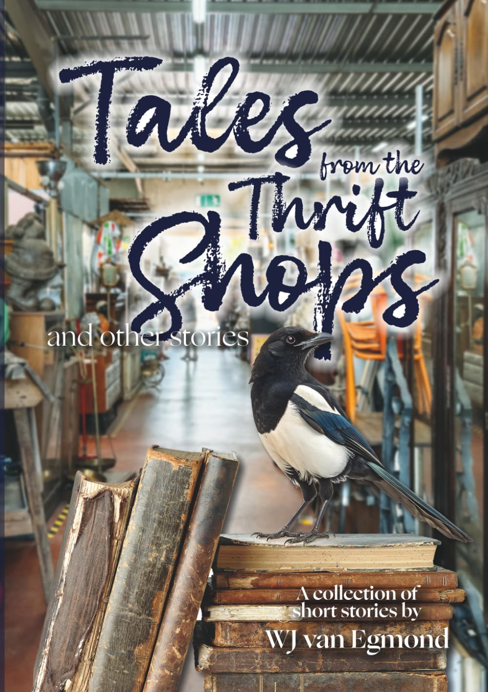 Tales from the Thrift Shops and other stories