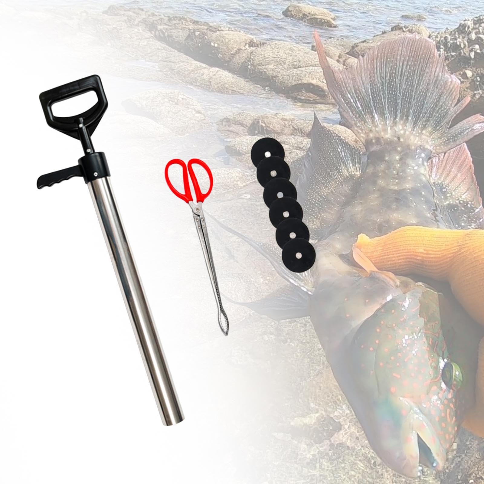 海のお魚に利用！！ポンプまとめ売り 海のお魚に利用！！ポンプまとめ売り