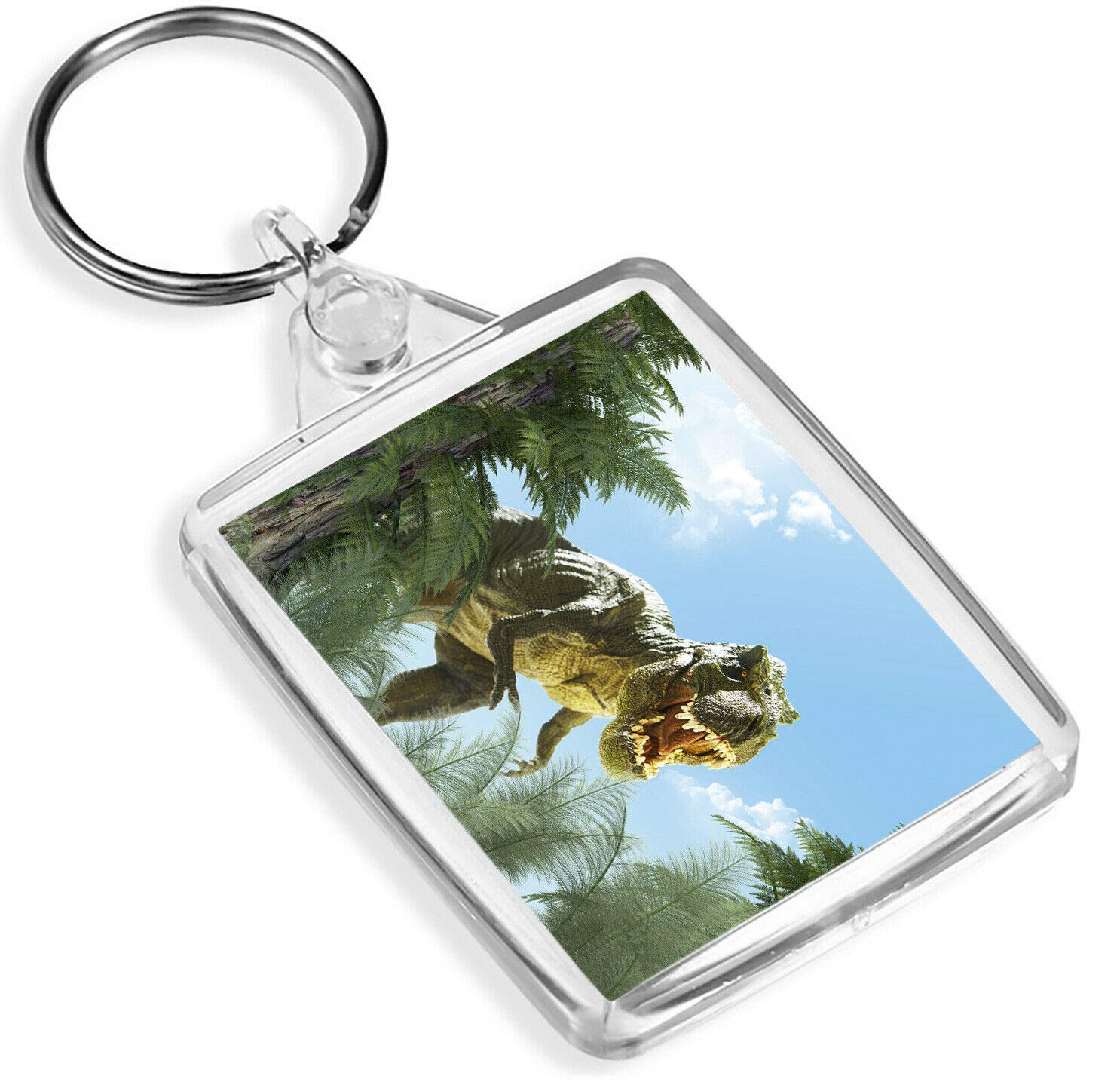 Tyrannosaurus Rex Keyring T-Rex Dinosaur Jurassic Kids Boys Keyring #14169