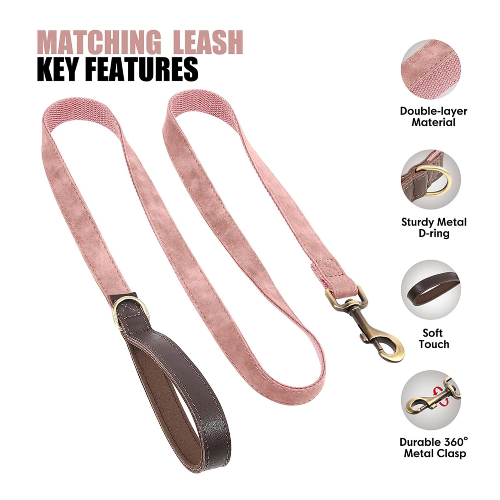 Collier for Chien avec Laisse, Tailles SL