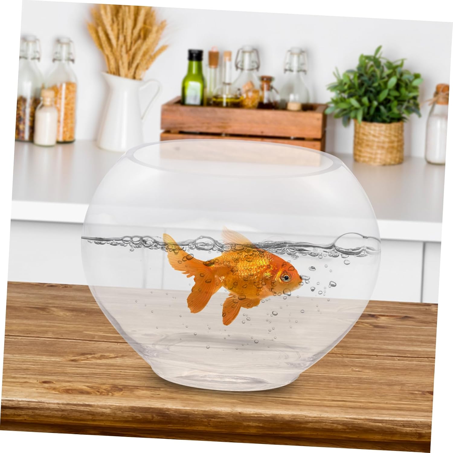 ibasenice Desktop Fish Tank Small Glass Aquarium for Betta and Shrimp Design for Home and Office Decorative Micro Landscape Pot Easy Clean Surface