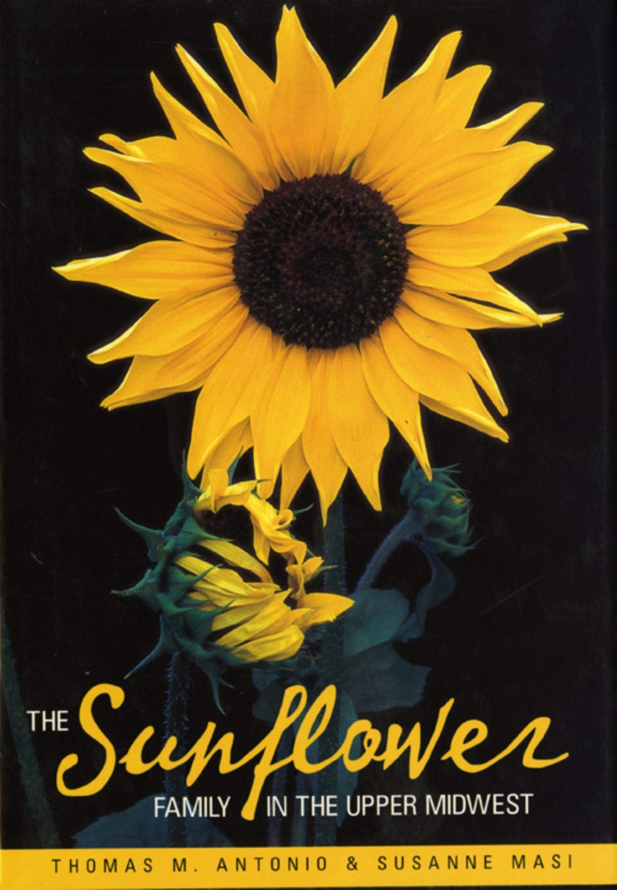 The Sunflower Family in the Upper Midwest: A Photographic Guide to the Asteraceae in Illinois, Indiana, Iowa, Michigan, Minnesota, and Wisconsin