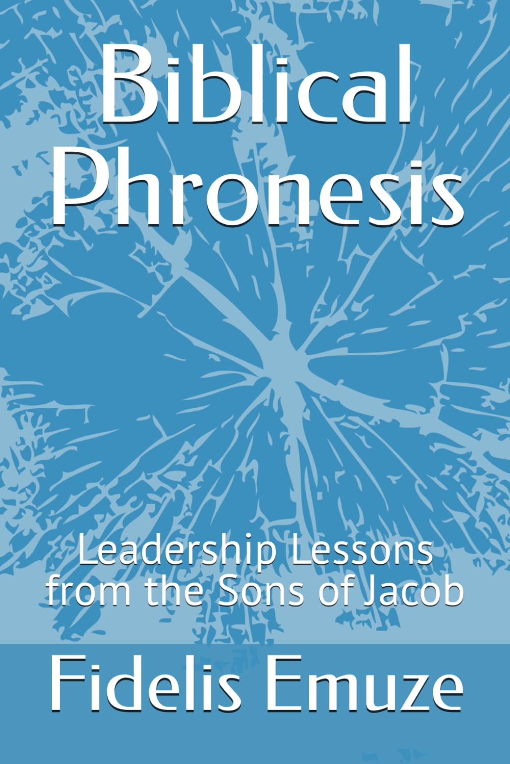 Biblical Phronesis: Leadership Lessons from the Sons of Jacob