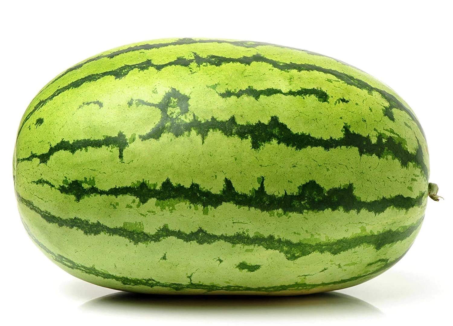 Watermelon Tarbuj Fruit seeds (B07MTLMHFV) Amazon Price History, Amazon Price Tracker