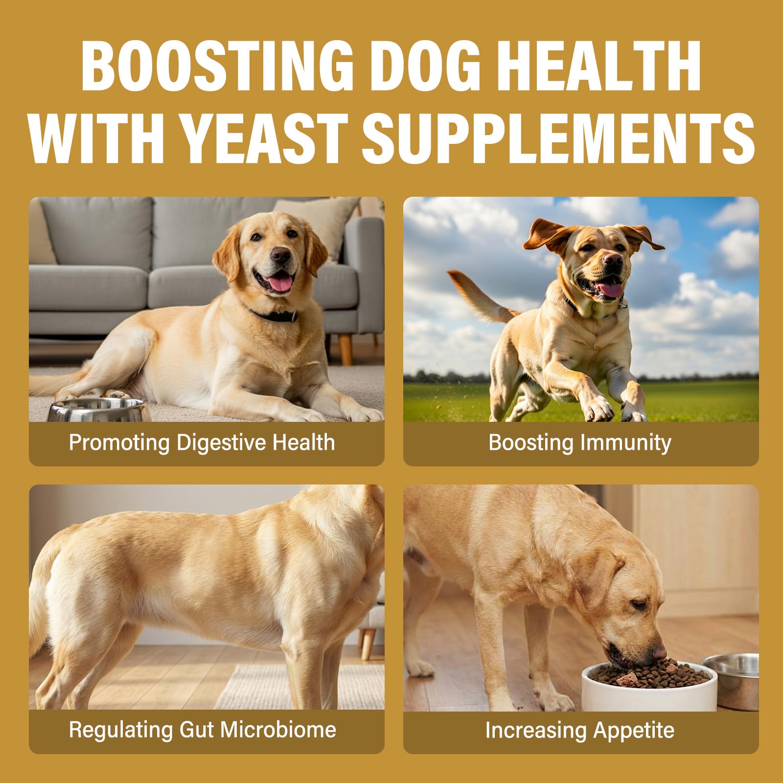 TWMKLP Yeast Infection Treatment for Dogs - Soothing Ear & Skin Relief for Itch & Inflammation, Natural Dog Allergy Support - image 8