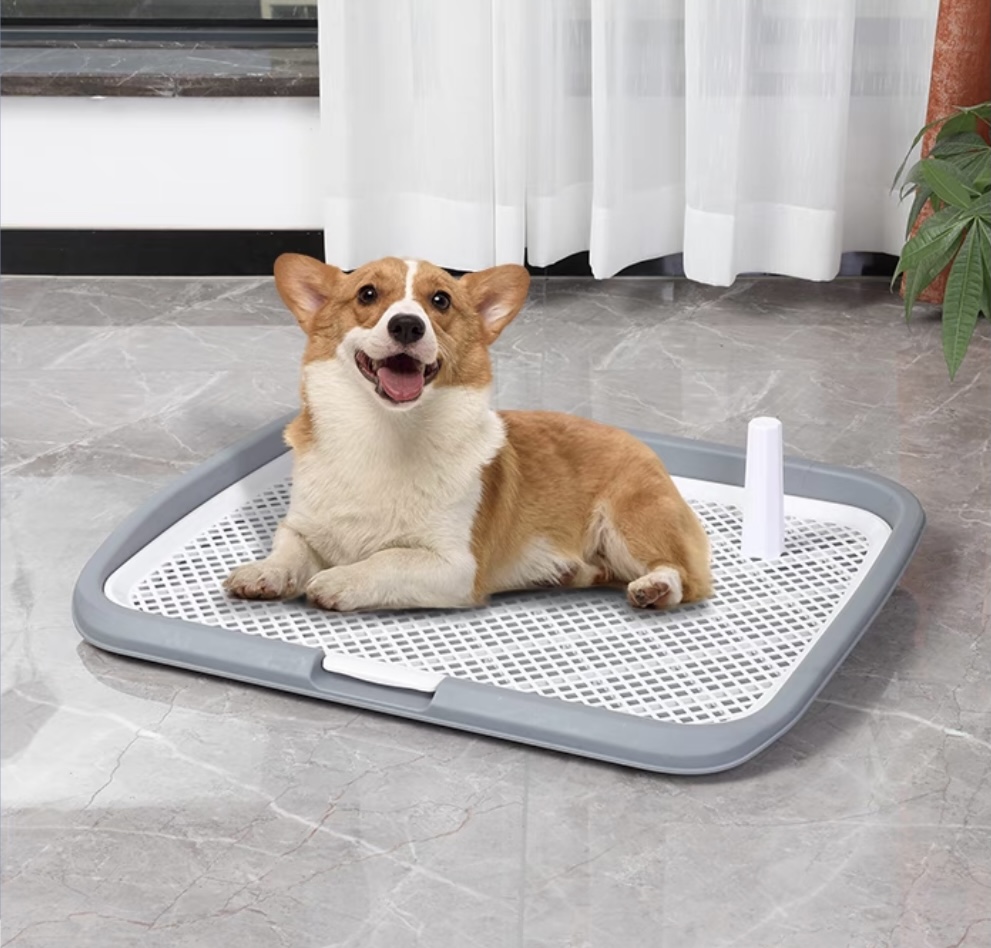 Amazon | HeGeed ペットトイレレイー 犬 トイレトレー 65×50CM 大型犬