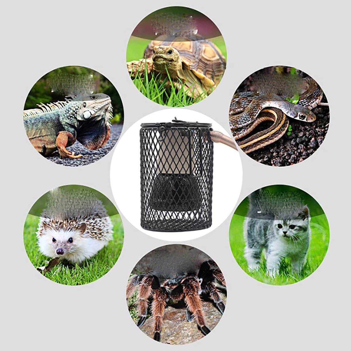 Lámpara Calor Reptil 25W-100W, Lámpara Calor para Mascotas Aves Corral con Termostato Y Cable Alimentación 1,5m, para Granja Cría/Familia,50W