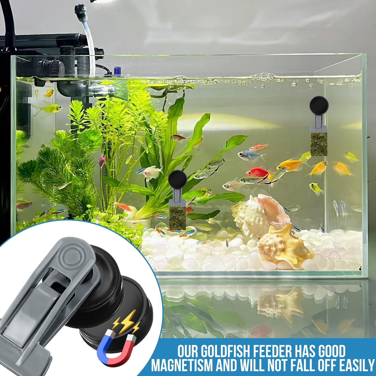 2 comederos para Peces de Colores, Accesorios para acuarios de Agua Salada, imán para Algas, Clips magnéticos para acuarios, Anillo de alimentación para peceras, Apto para Mascotas acuáticas