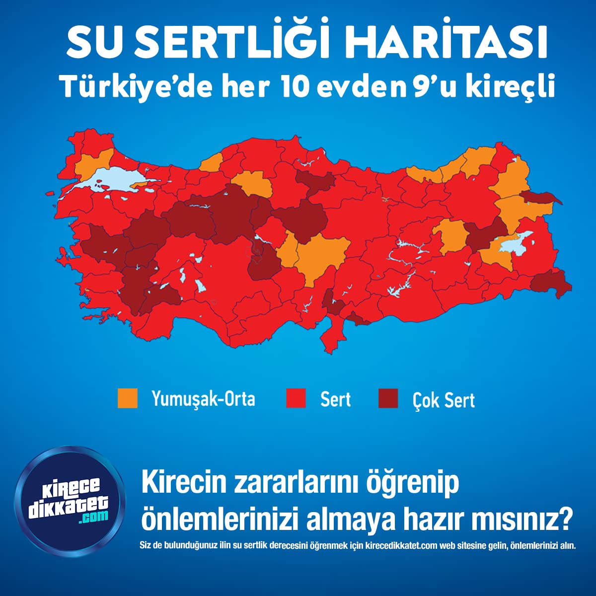 Calgon Power Kir, Pas, Kireç ve Koku Önleyici 4'ü 1 Arada Ultra Konsantre Toz 250 g