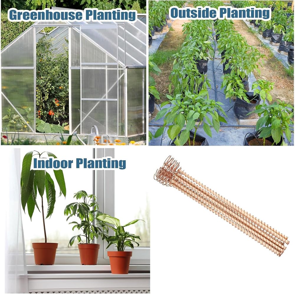 Elektrokultur-Pflanzstäbe, Länge 300 mm, lange Kupfer-Gartenpfähle, Elektrokultur-Gartenarbeit, Kupferspulen, Drahtwerkzeuge für den Anbau von Gartenpflanzen, Gemüse, 24 Stück