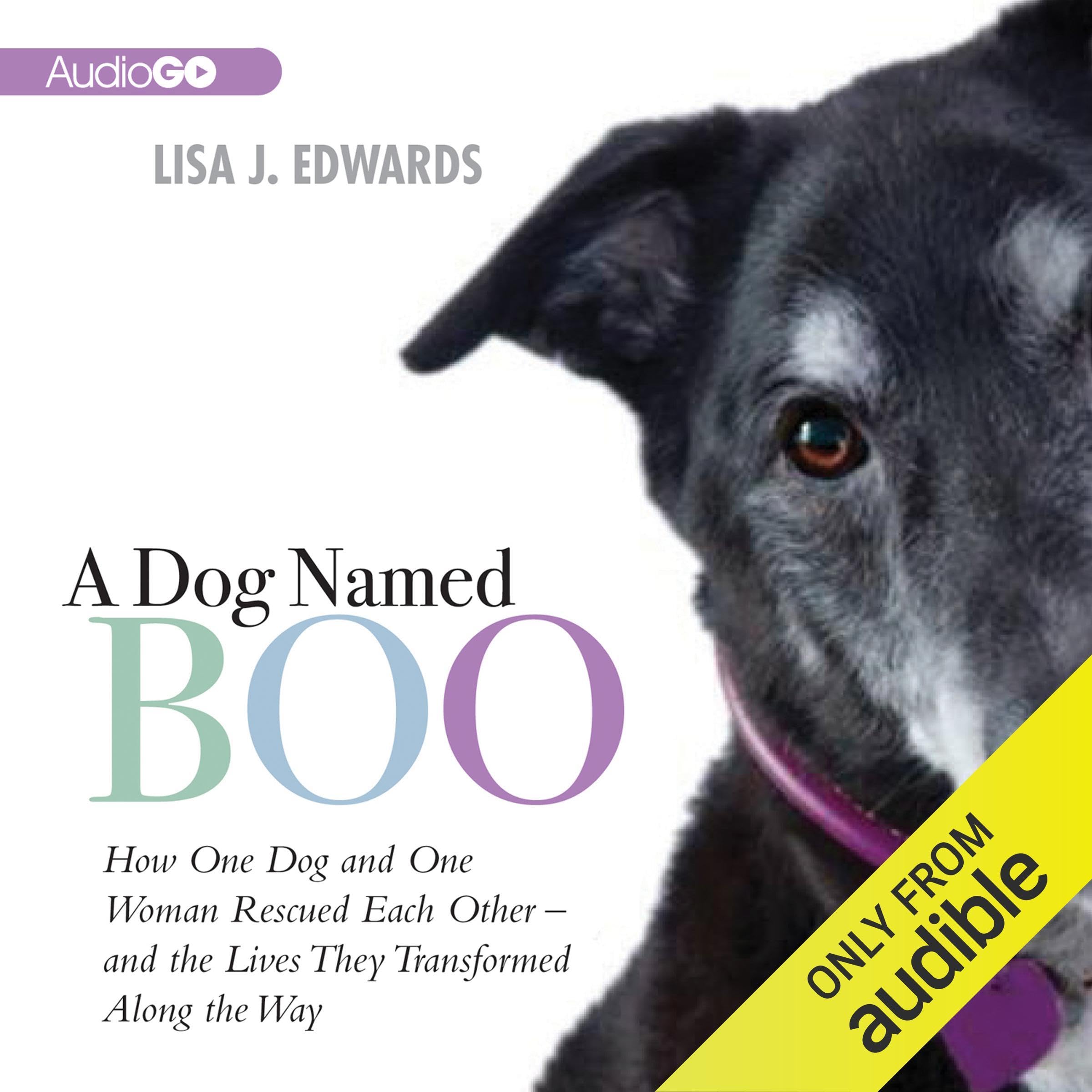 Cover art for A Dog Named Boo