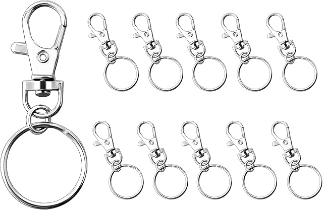 SUKELURER Keyring Rings Key Hoops, 20pcs Metal Key Ring Clips, Detachable Lobster Clasps with Split Ring for Men & Women Craft DIY Hanging Crafts Jewellery Making Findings (Silver)