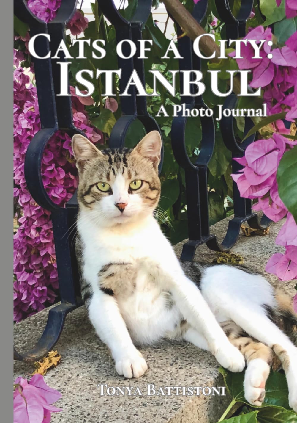 Cats of a City: Istanbul