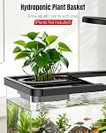Pawfly 2 Gallon Fish Tank, Ultra Clear Aquarium Starter Kit with 6 W LED Aquarium Light, Mini Air Pump, Filter, Siphon Vacuum Water Changer & Basket, Small Fish Tank for Betta