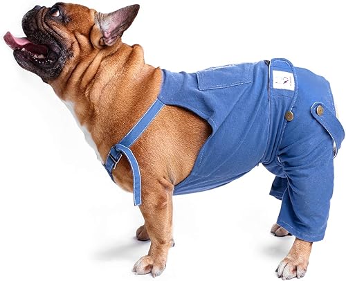 Miniatura 8 de iChoue Lindos pañales para perro con tirantes para bulldog francés, pug francés, bulldog inglés, hembra, en ciclo de calor, color rojo, talla M con