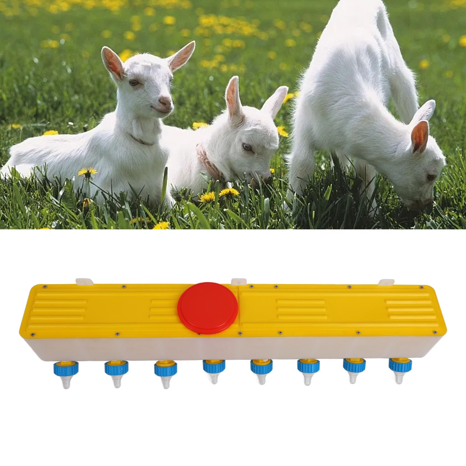 Mangiatoia per Bevande per Agnello in Silicone con 8 Capezzoli e Secchio per Alimentazione del Latte da 10 Litri per Bestiame a Parete per Agnelli Vitelli e Maialini