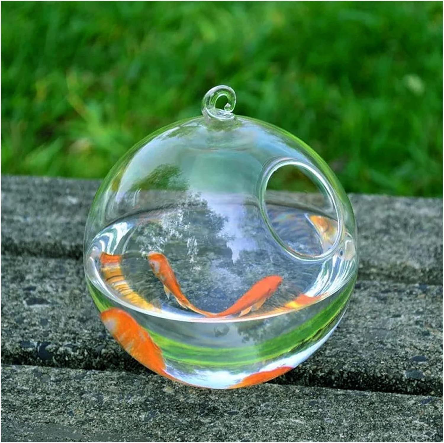 Fish Tabk Round Hanging Glass Aquarium Fish Bowl Fishbowl Flower Plant Vase with Height Rack Holder Home Decor Cool Fish Tank,B