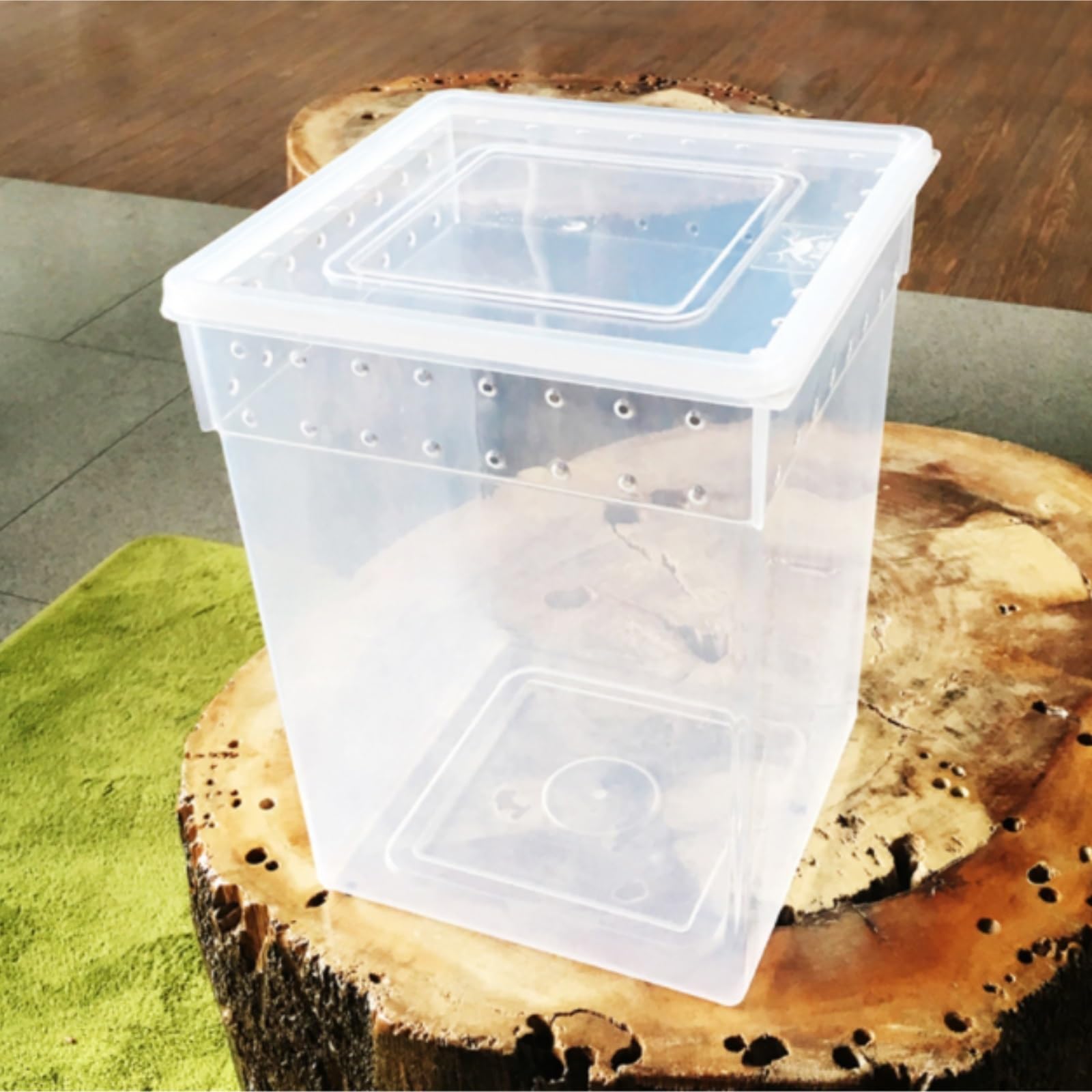 Cría Insectos Terrario De Reptiles, Caja Cría For Serpientes, Cangrejos Ermitaños, Ranas E Insectos Accesorios