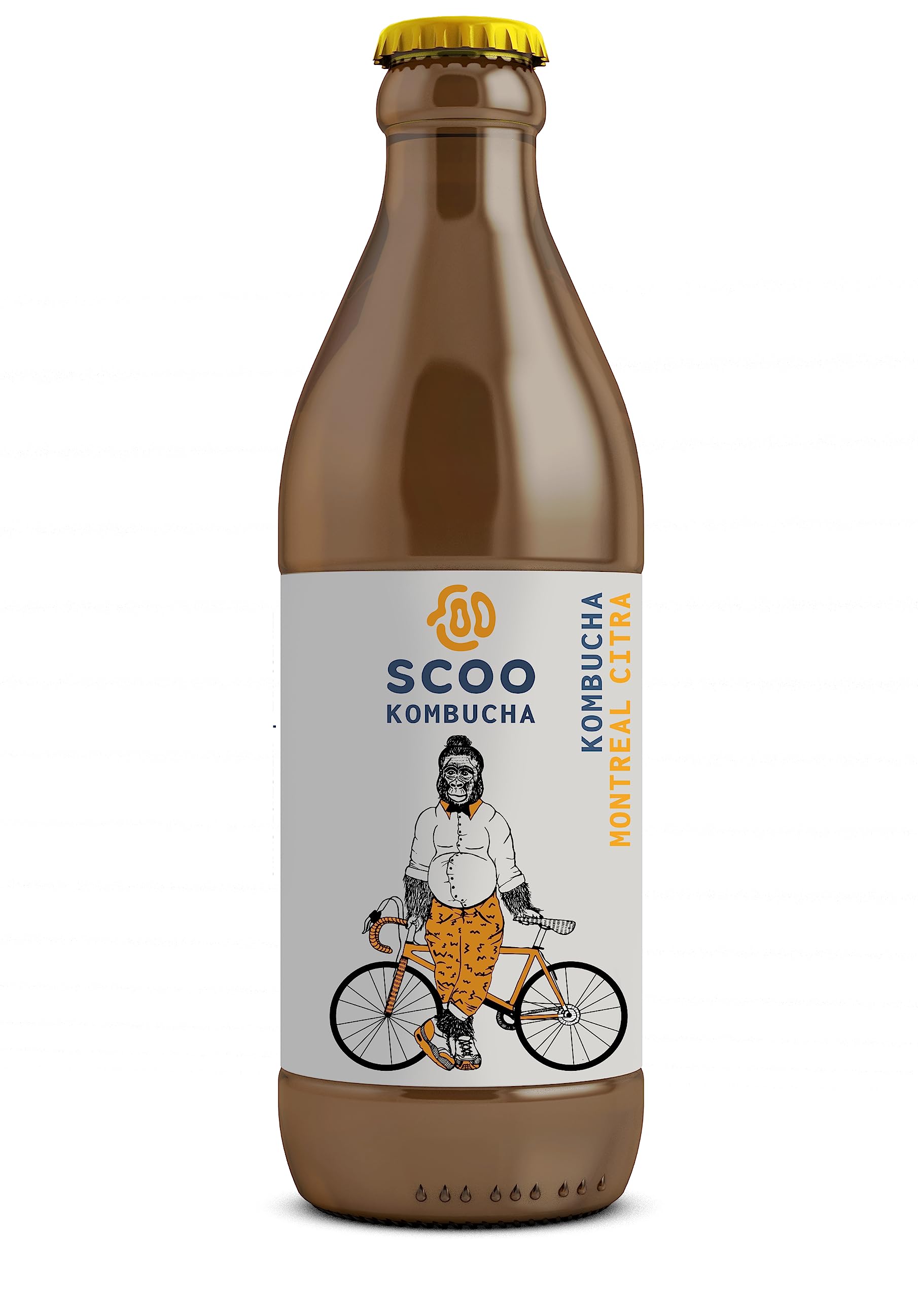 Scoo Kombucha Montreal Citra - 12 Flaschen 330 ml Bio Kombucha Tee unpasteurisiert