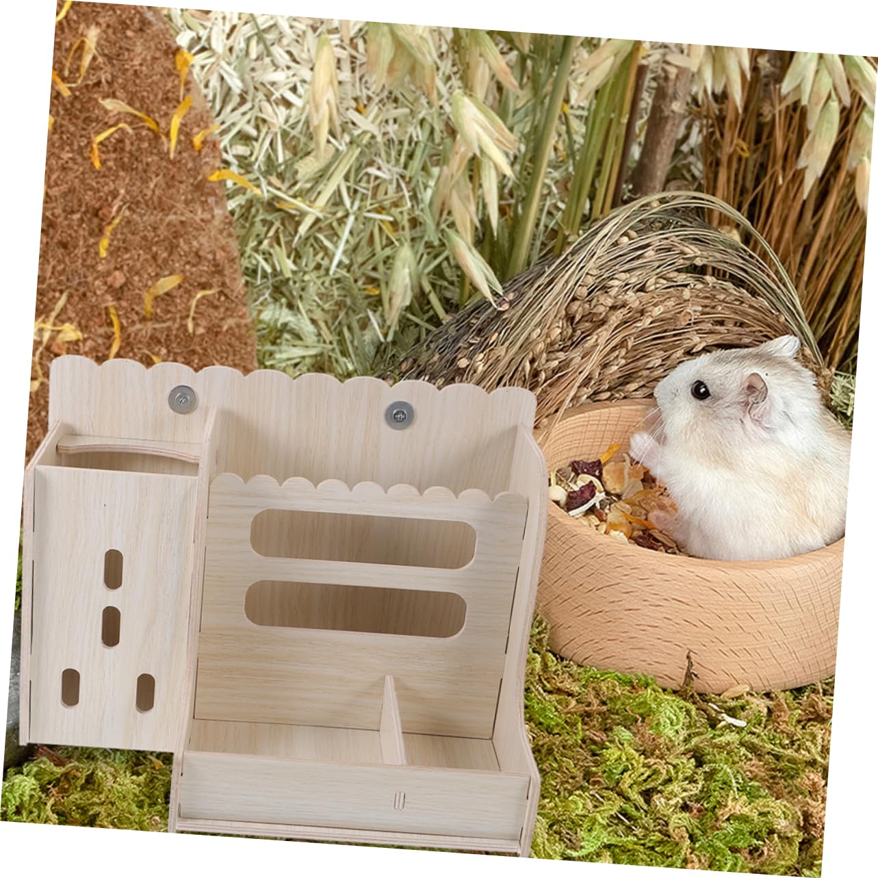 Mangiatoia in Legno per Conigli, Supporto Resistente, Set 1 | Plastica, Facile da Pulire, Mantiene Cibo Ordinato, per Piccoli Animali e Criceti
