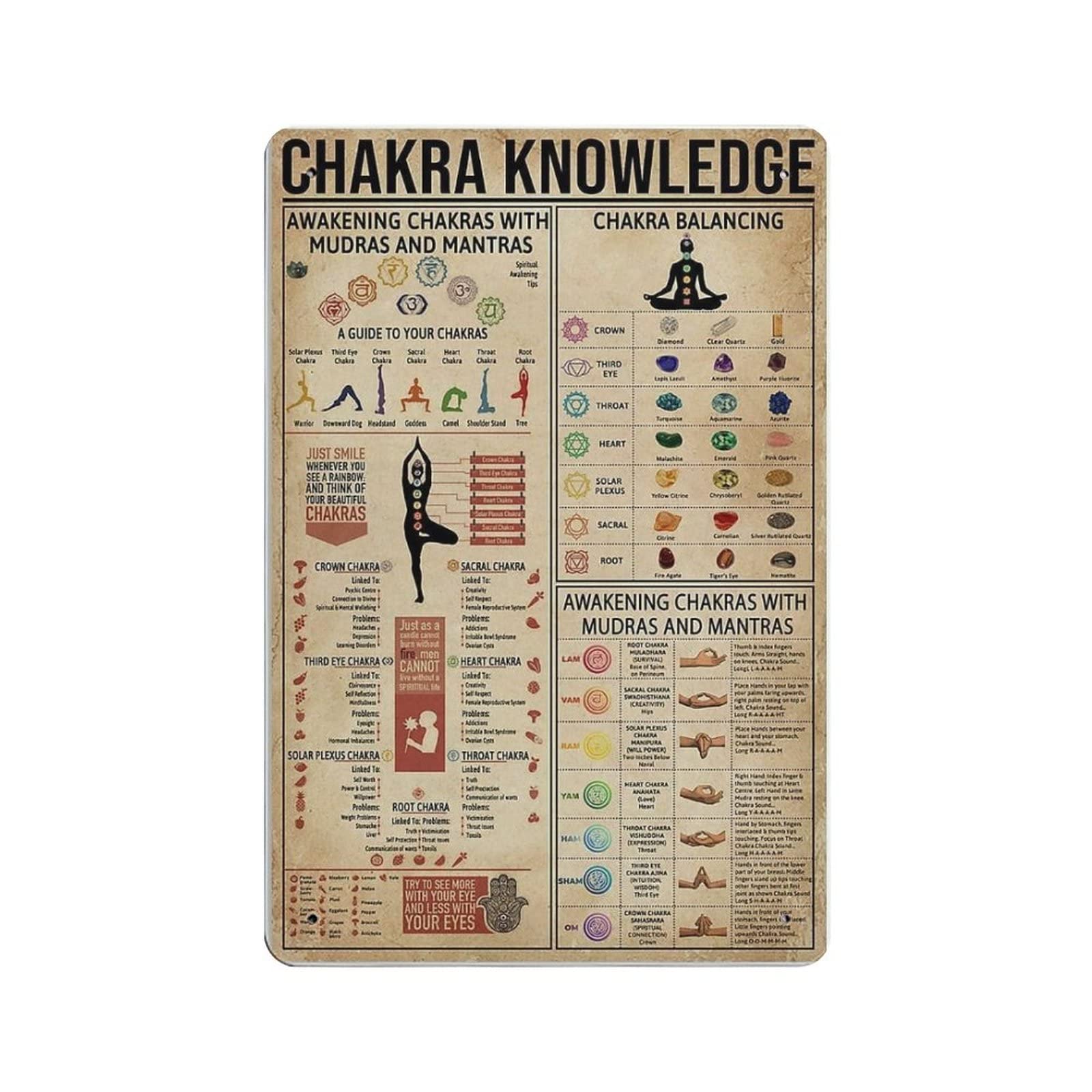 Hdadwy Chakra Knowledge Poster Metal Tin Sign Art Wall Plaque Decor Vintage Retro Sign Iron Painting Aluminum Sign for Home Decor Bar Shop Men Cave Outdoor Garage Indoor 12"x8"