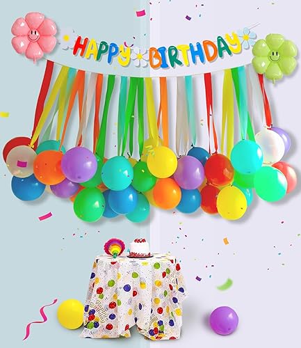 Birthday Party Balloon Decoration Set, Various Colorful Balloons, Ribbons, Happy Birthday Banner Outfit, Small Daisy Balloons, Birthday Photo