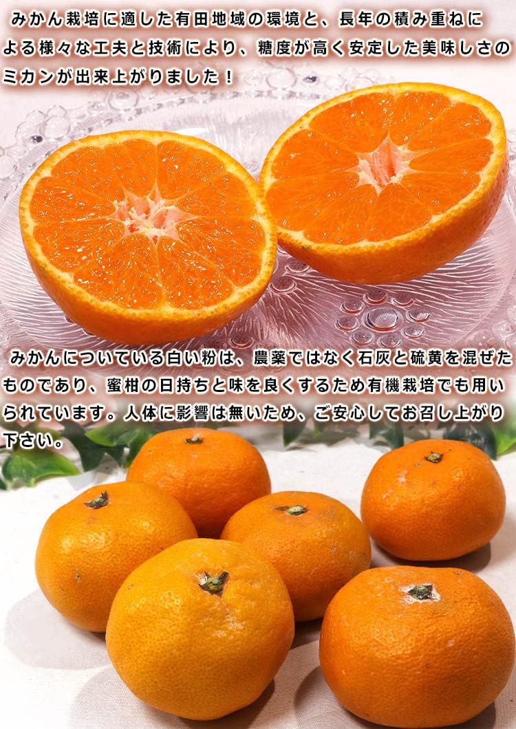 Amazon 産地直送 田村みかん 小玉中心 約10kg 2s Mサイズ 和歌山県 湯浅町産限定 有田ミカン のトップブランド 最高峰の美味しさを誇る濃厚な甘さの蜜柑 産地から玄関へ みかん 柑橘類 通販