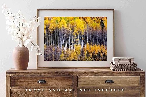 Miniatura 8 de Forest Photography Print (Not Framed) Picture of Aspen Trees Appearing as Reflection on Side of Mountain on Autumn Day at Maroon Bells Colorado