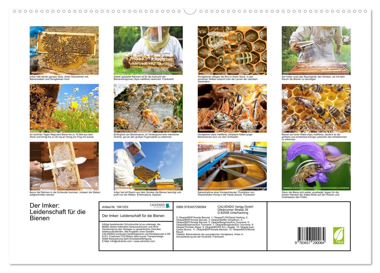 Der Imker: Leidenschaft für die Bienen (hochwertiger Premium Wandkalender 2026 DIN A2 quer), Kunstdruck in Hochglanz: Die fleißigen Bienen: Blumes Liebling im Garten (CALVENDO Tiere)