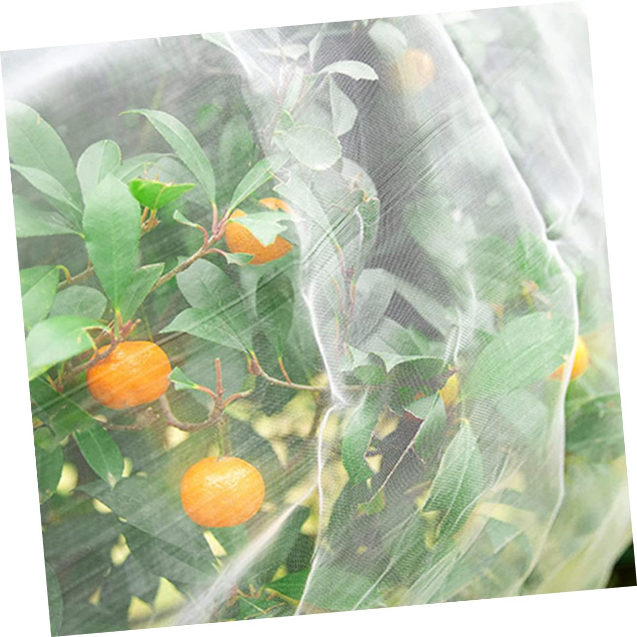 Abaodam Malla para Protección de Plantas Jardín Pájaros y Ardillas Jardín Sombreo Barrera Frutas Vegetales