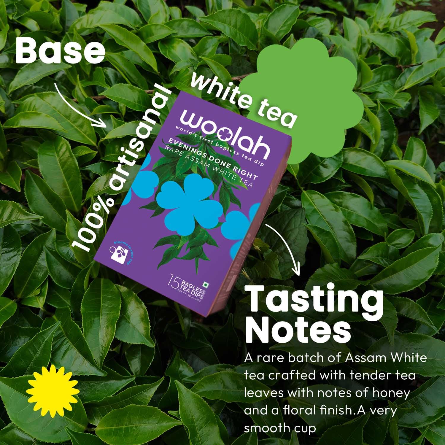 Woolah Rare Assam White Tea, Organic BAGLESS Tea Dip (15 Dips /30 Cups) 100% PLASTIC FREE, Natural Whole Leaf, High EGCG anti-oxidants, BOOST METABOLISM, Improves SKIN HEALTH & Good for Heart. - Image 3 thumbnail