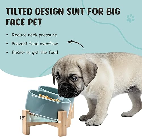 Miniatura 9 de SPUNKYJUNKY Cuenco de cerámica inclinado de 15 para perros y gatos con soporte de madera, cuenco inclinado para comida y agua para bulldog,
