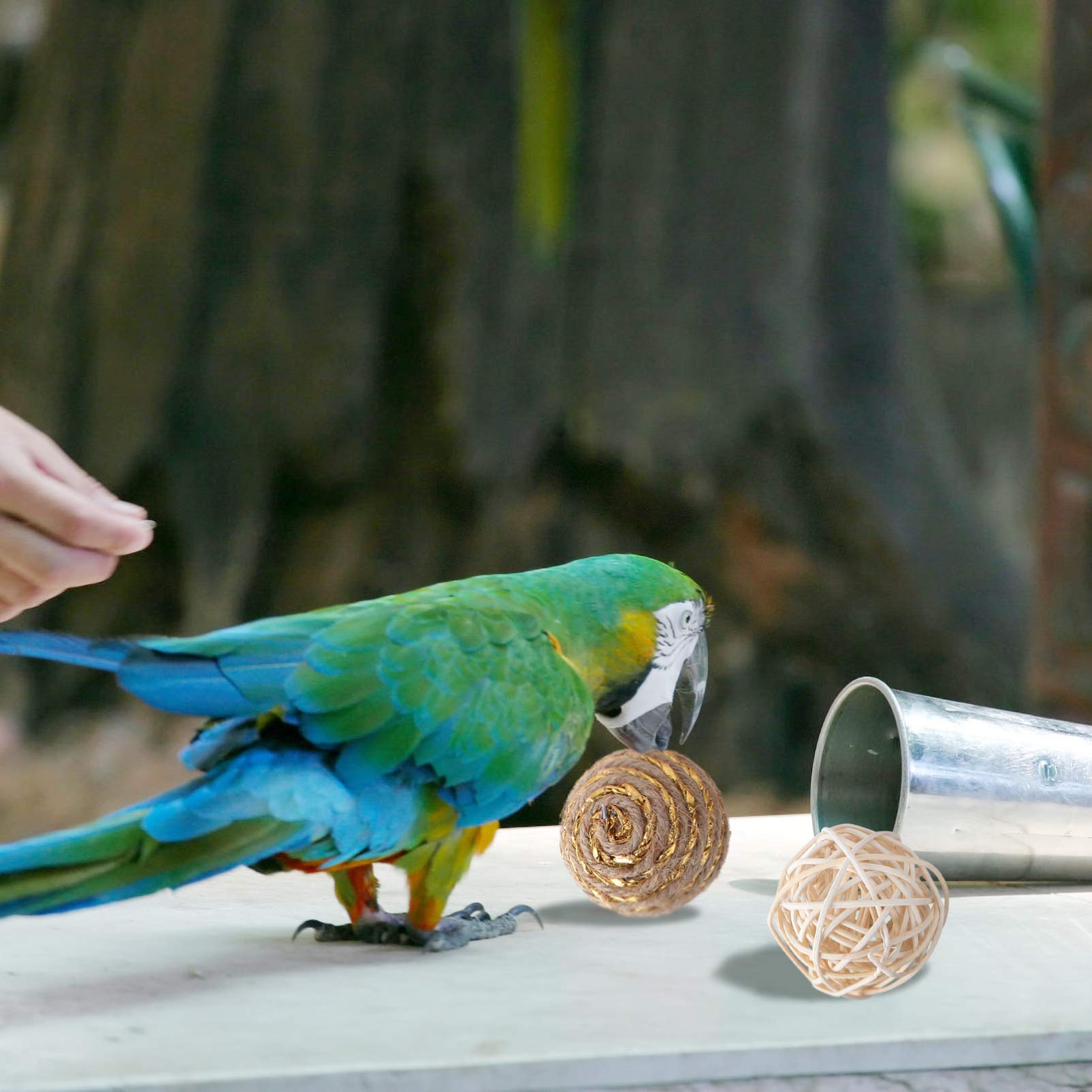 DOITOOL 12piezas Masticables para Mascotas Juguetes para Hámsters y Aves De Juguetes De Molar para Limpieza Interacción Segura y Divertida