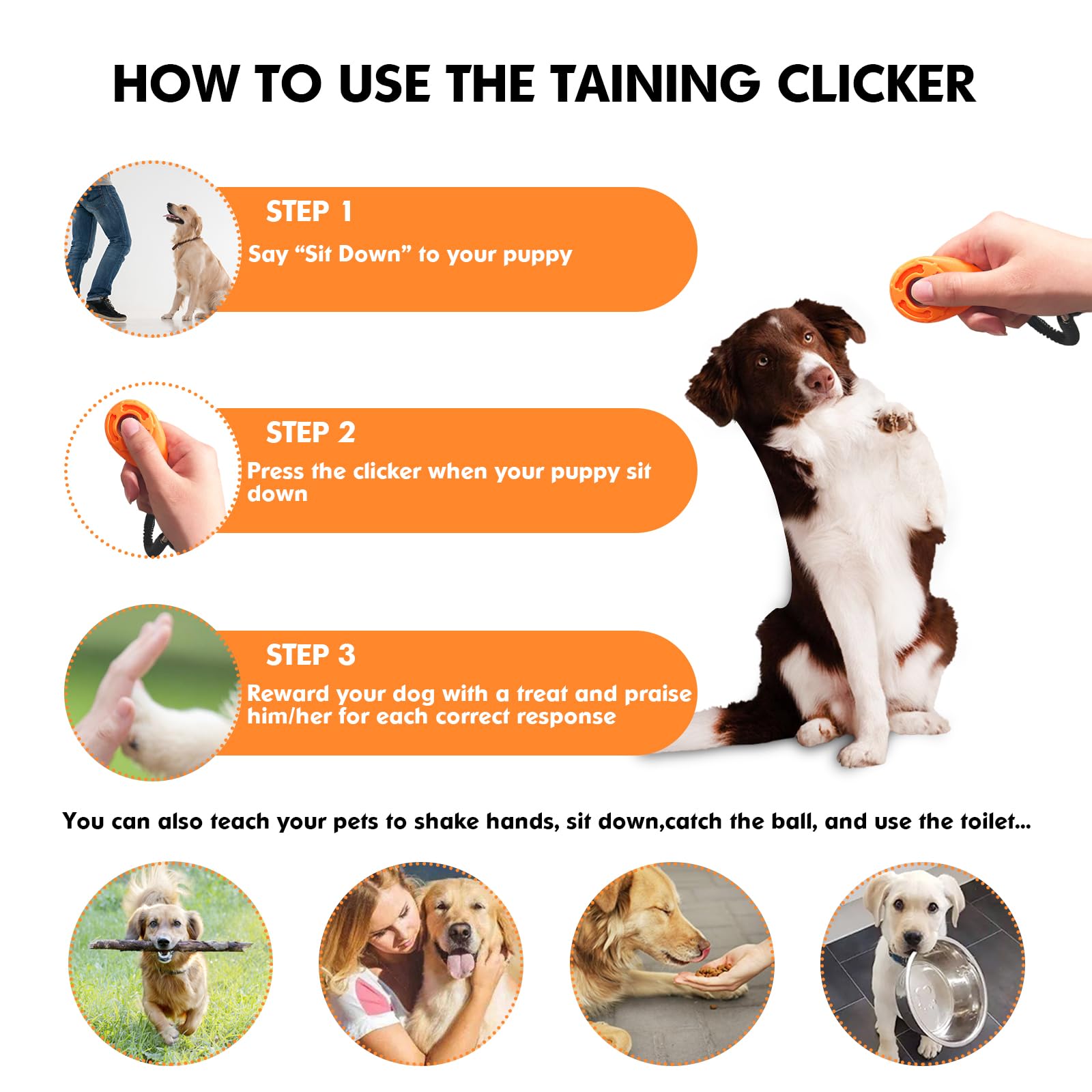 Puppy Training Petco Puppies Saturday Petco Dog Training Whistles