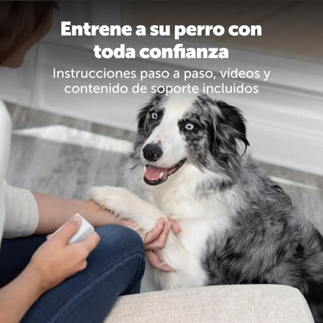 Foto 5 de 7 de PetSafe Teach & Treat - Adiestrador con Mando de Recompensa, Dispositivo de Entrenamiento de Recompensas…