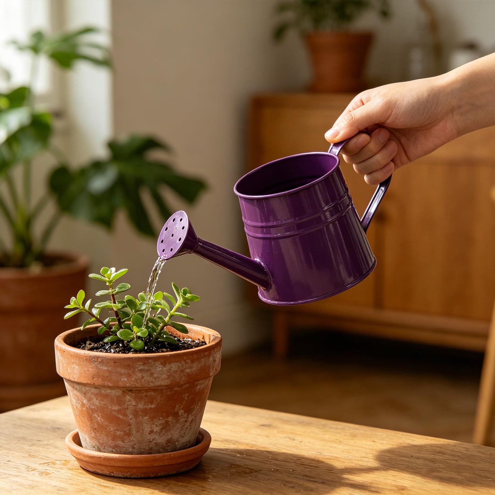 Purple Flower Long Spout Water Can For Kids Adult With Sprinkler Head Mini Small Water Spraying Pot Sprinkle For Gardening Watering/Sprinkling (Purple)