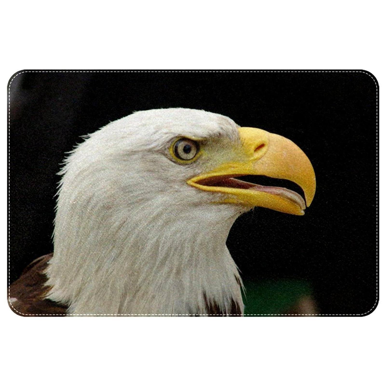 Washable Rug, Indoor or Outdoor Rugs Door Mats Carpet for Front Porch, Kitchen, Farmhouse, Entryway, Eagle