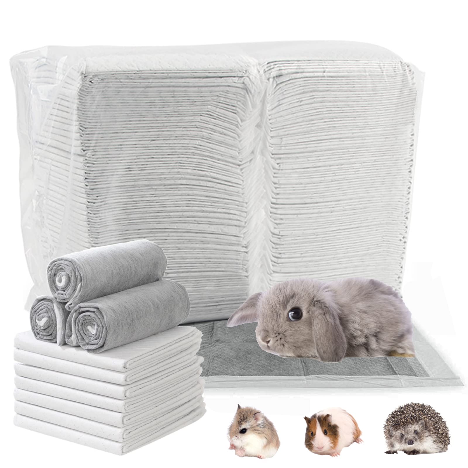 Do Chinchillas Pee Smell